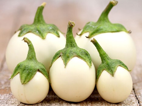 خرید و قیمت بادمجان سفید ابرقو + فروش صادراتی
